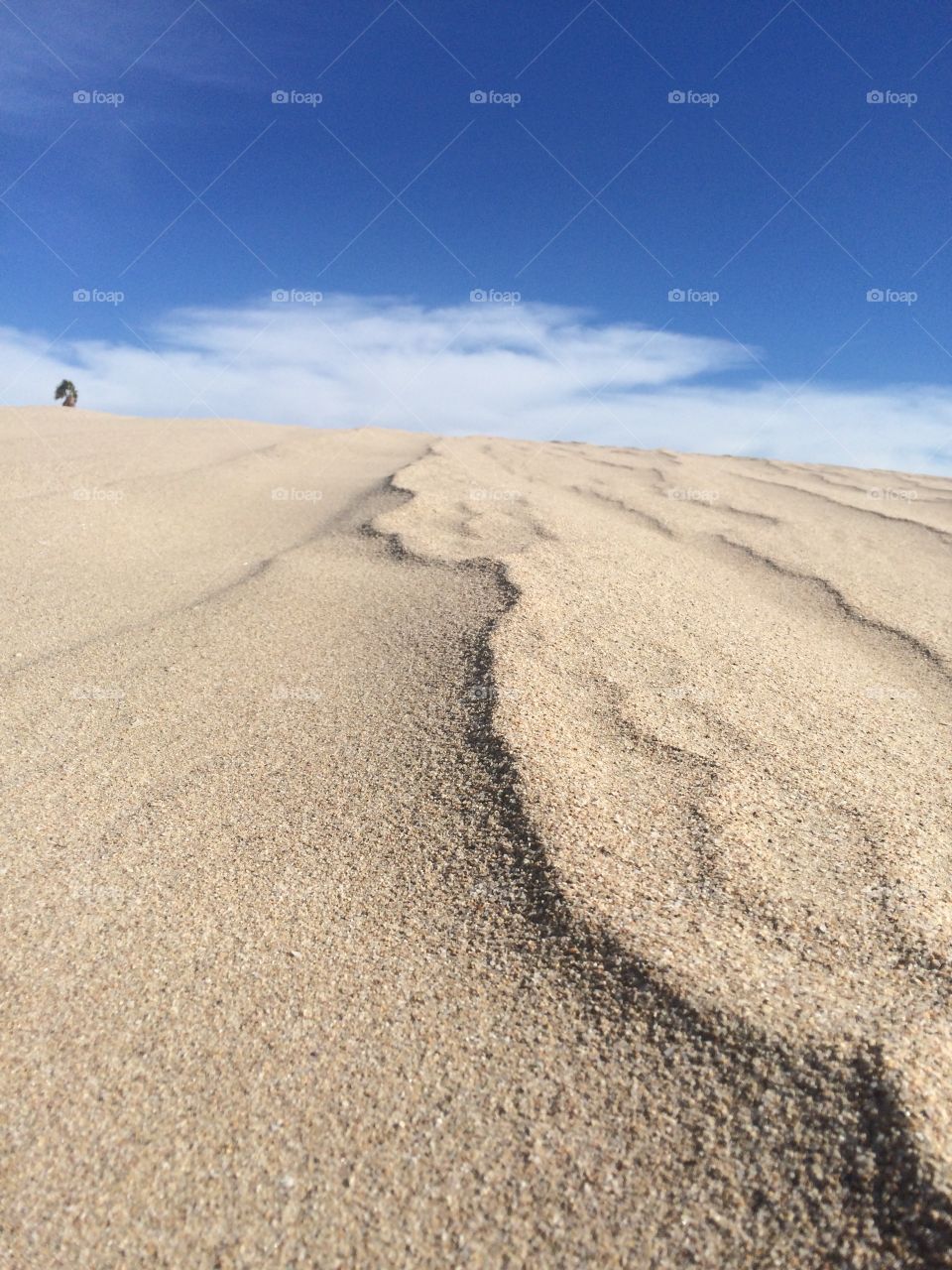 Peñasco Dunes 