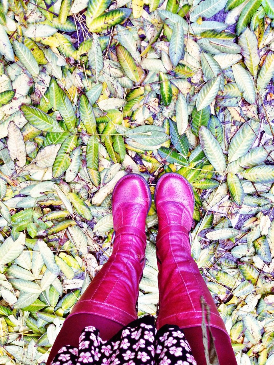 red boots autumn leaves