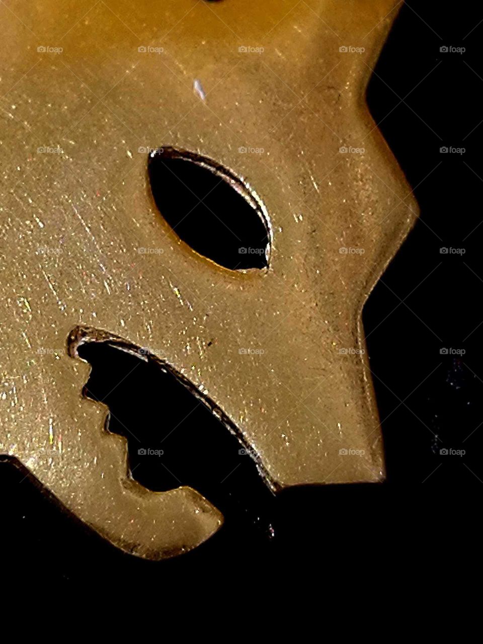 as roma stylized wolf