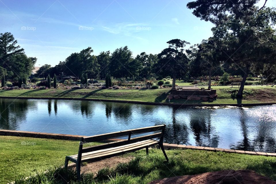 Reflections on the Pond