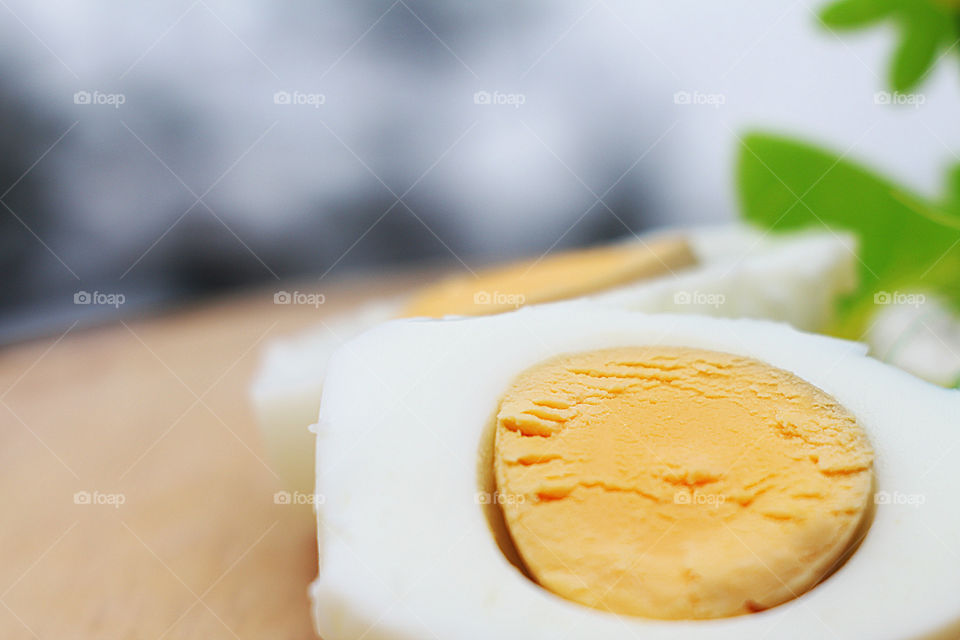 egg macro on a blurred background