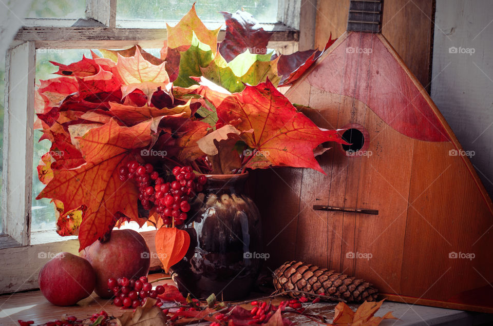 Still life with a balalaika, autumn maple leaves and cones. Bright warm colors, predominance of red and orange shades. Evening sunlight.