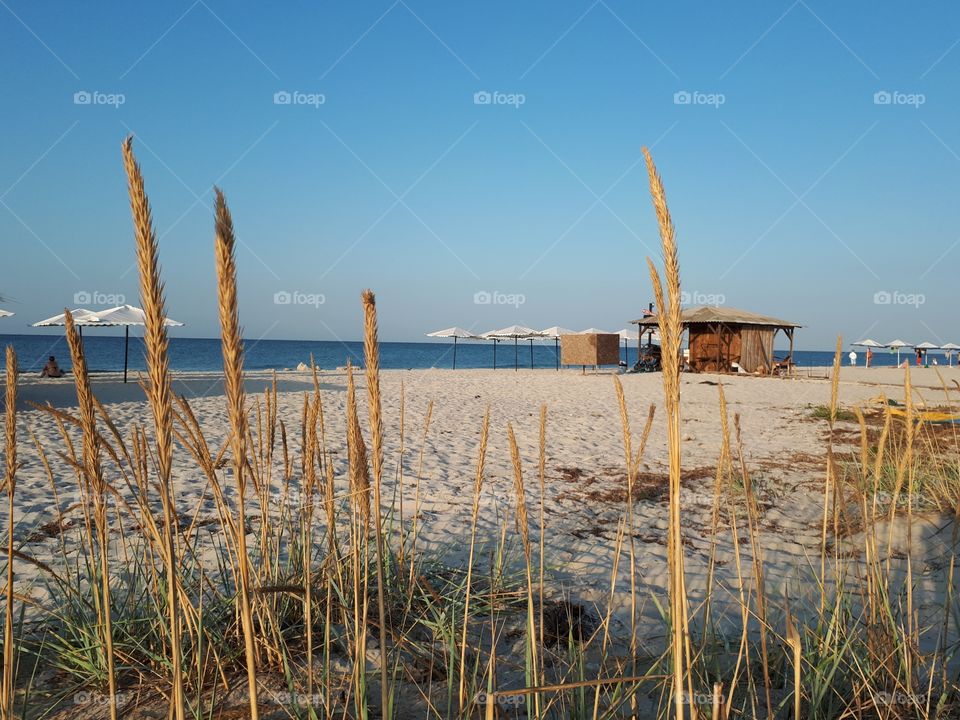 Beach bar at the morning