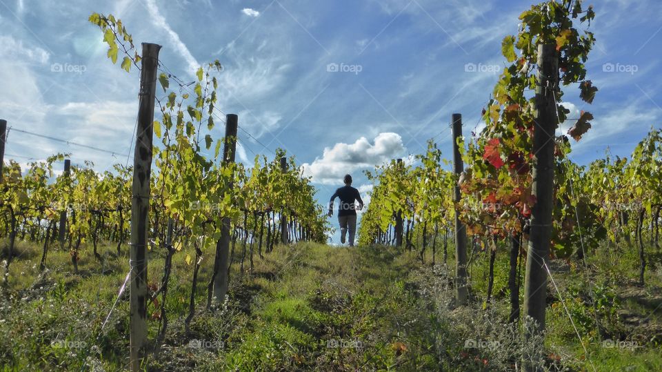 Running in the field in autumn. Running in the field in autumn