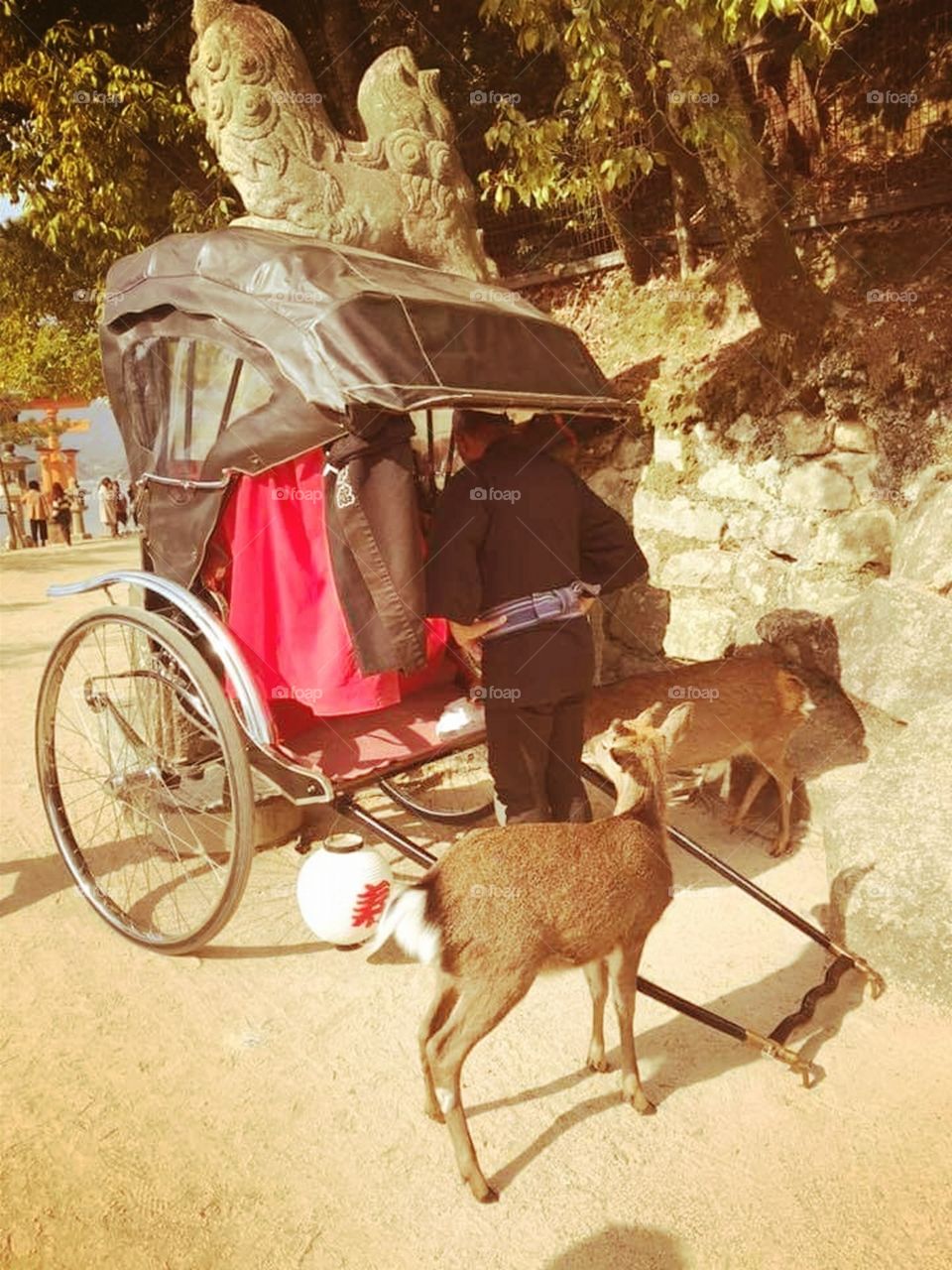 Go Slow for the Ride.