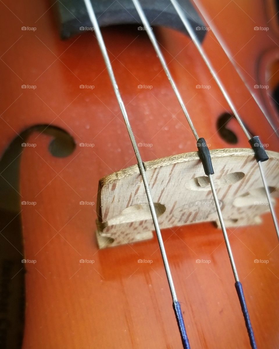 Beautiful Violin