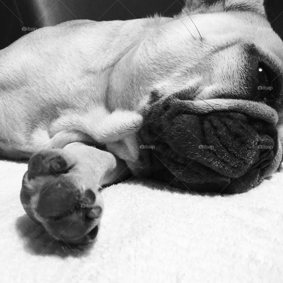 My lovely getting asleep 