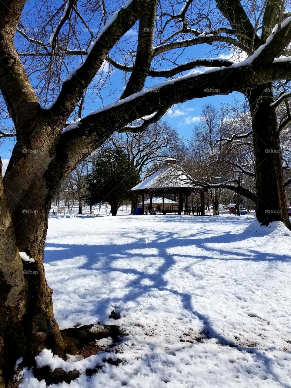 Beautiful trees form interesting shadows. Snow covered gazebo seen from a distance.