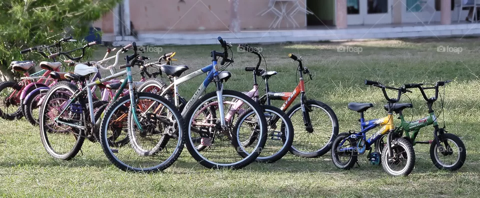 bike for rent