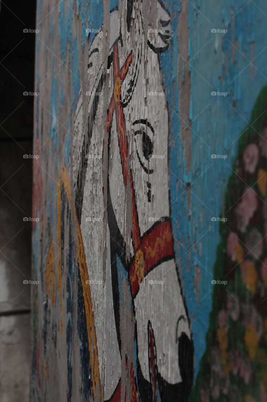 Cavallo murales al capo