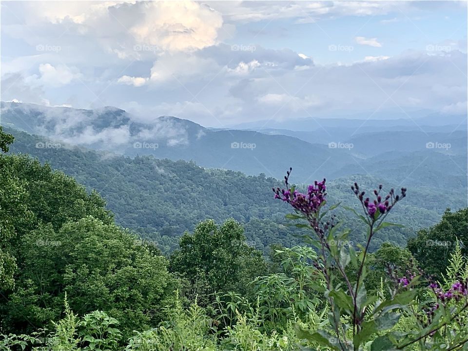 North Carolina Mountains