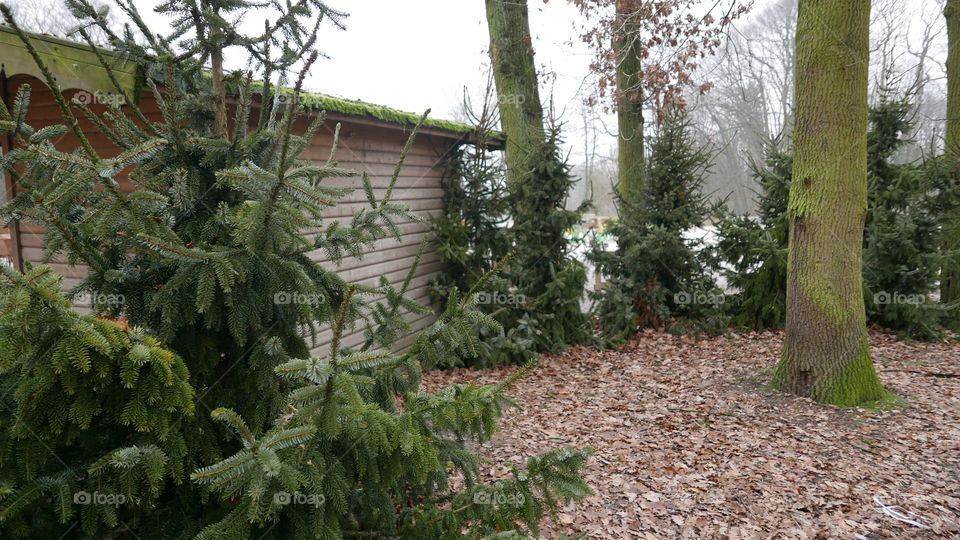 Nachtegalepark in Antwerp