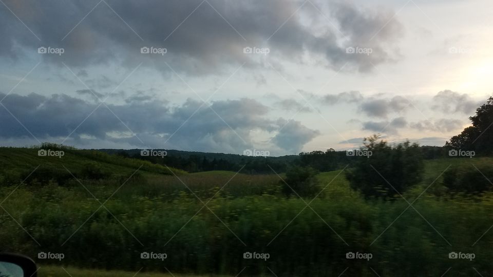 Landscape, Tree, Sky, No Person, Nature