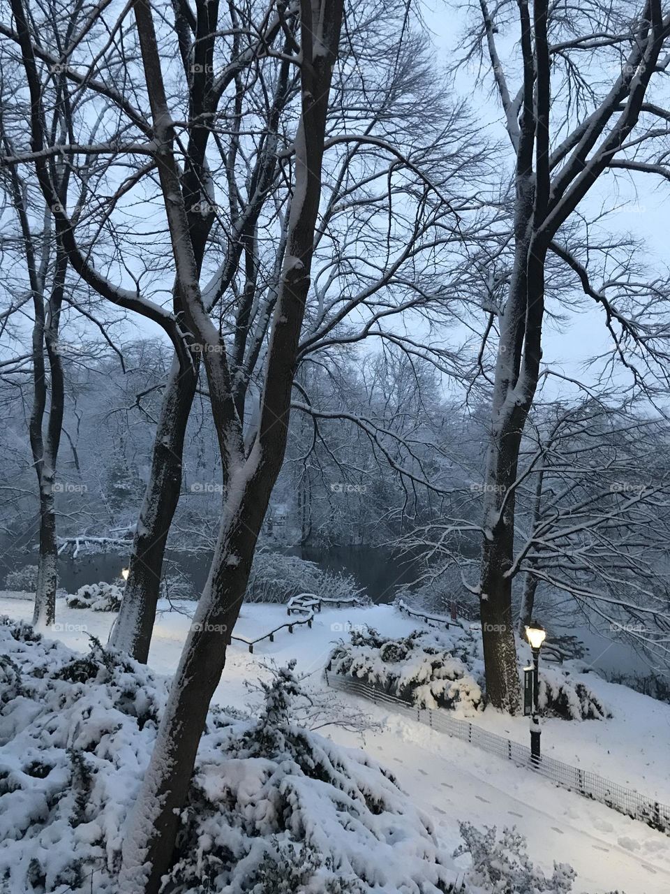 Snowy walk in Central Park 