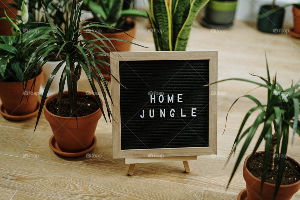 Urban plants mission