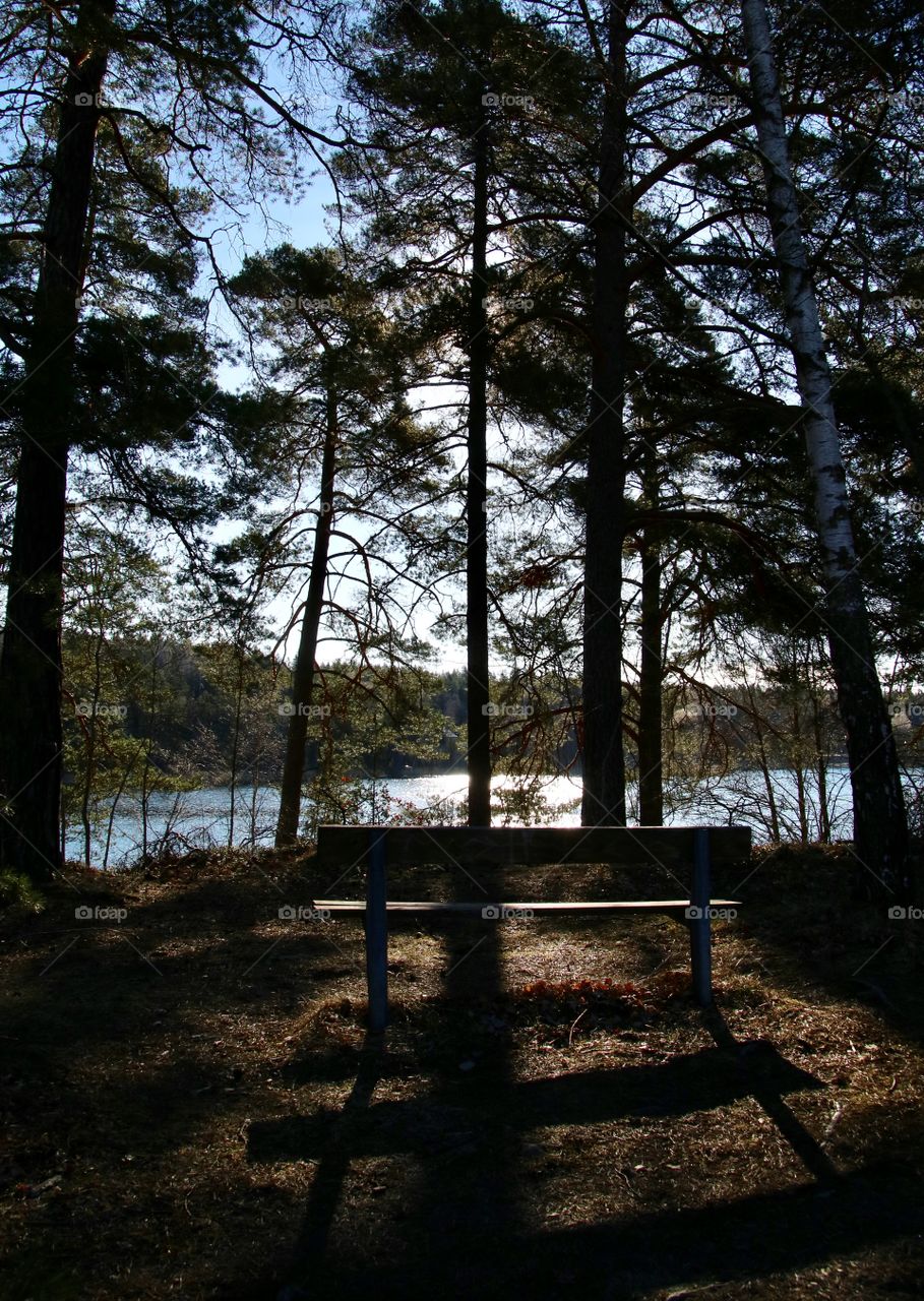 Morning by the lake