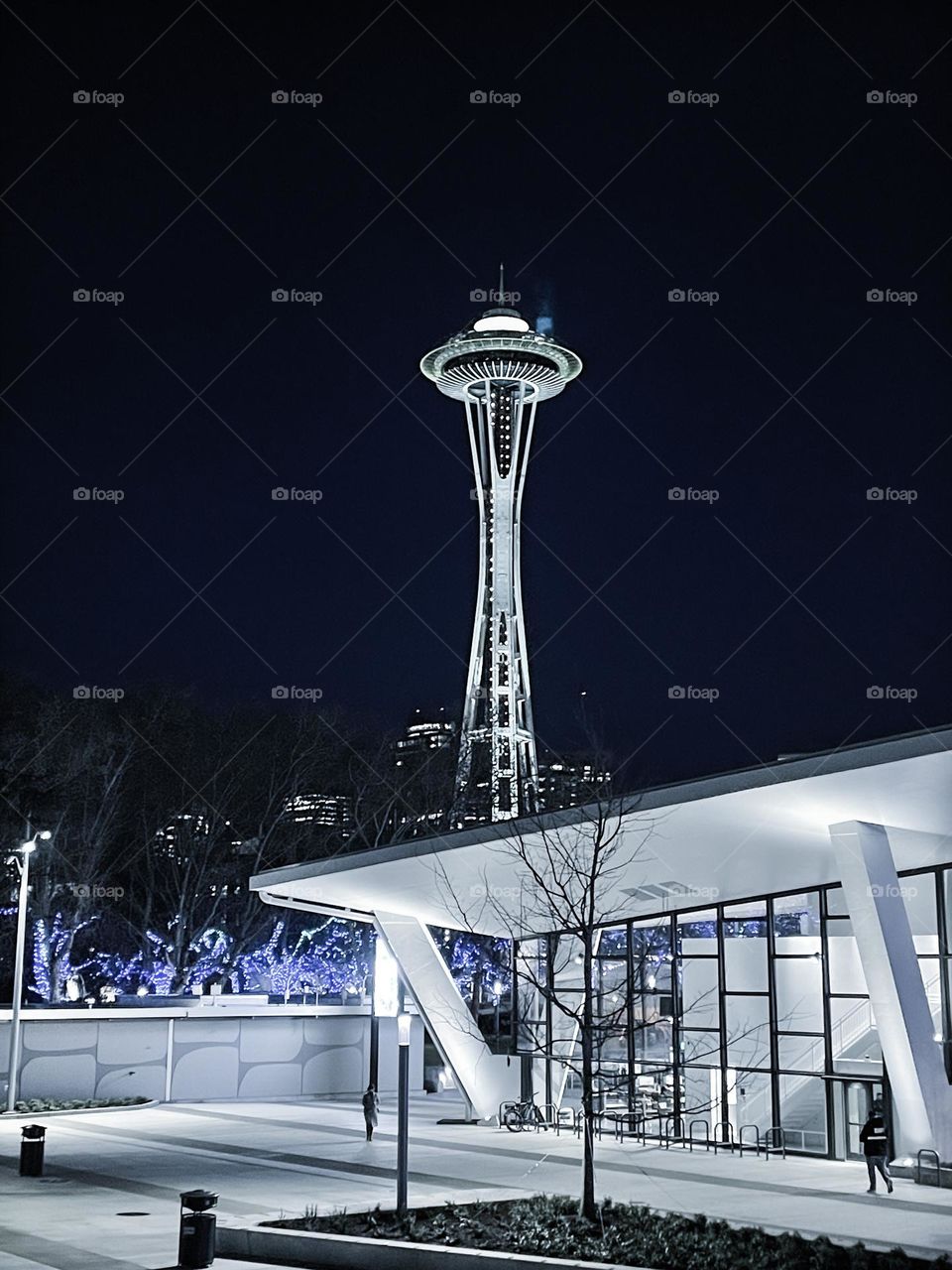Space Needle 