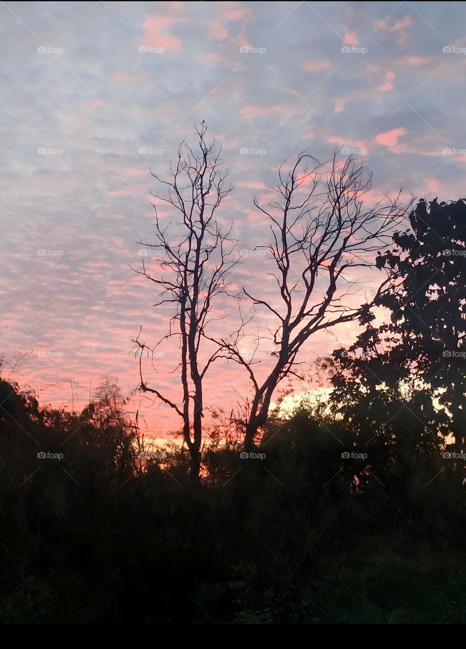 Beautiful Sunset 🌅🌅