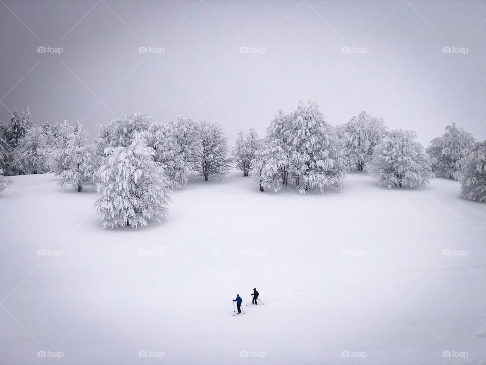 Minimal winter