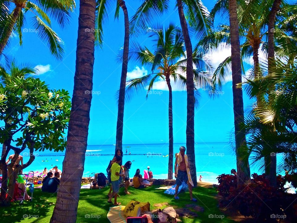 Amazing Photo in waikiki 