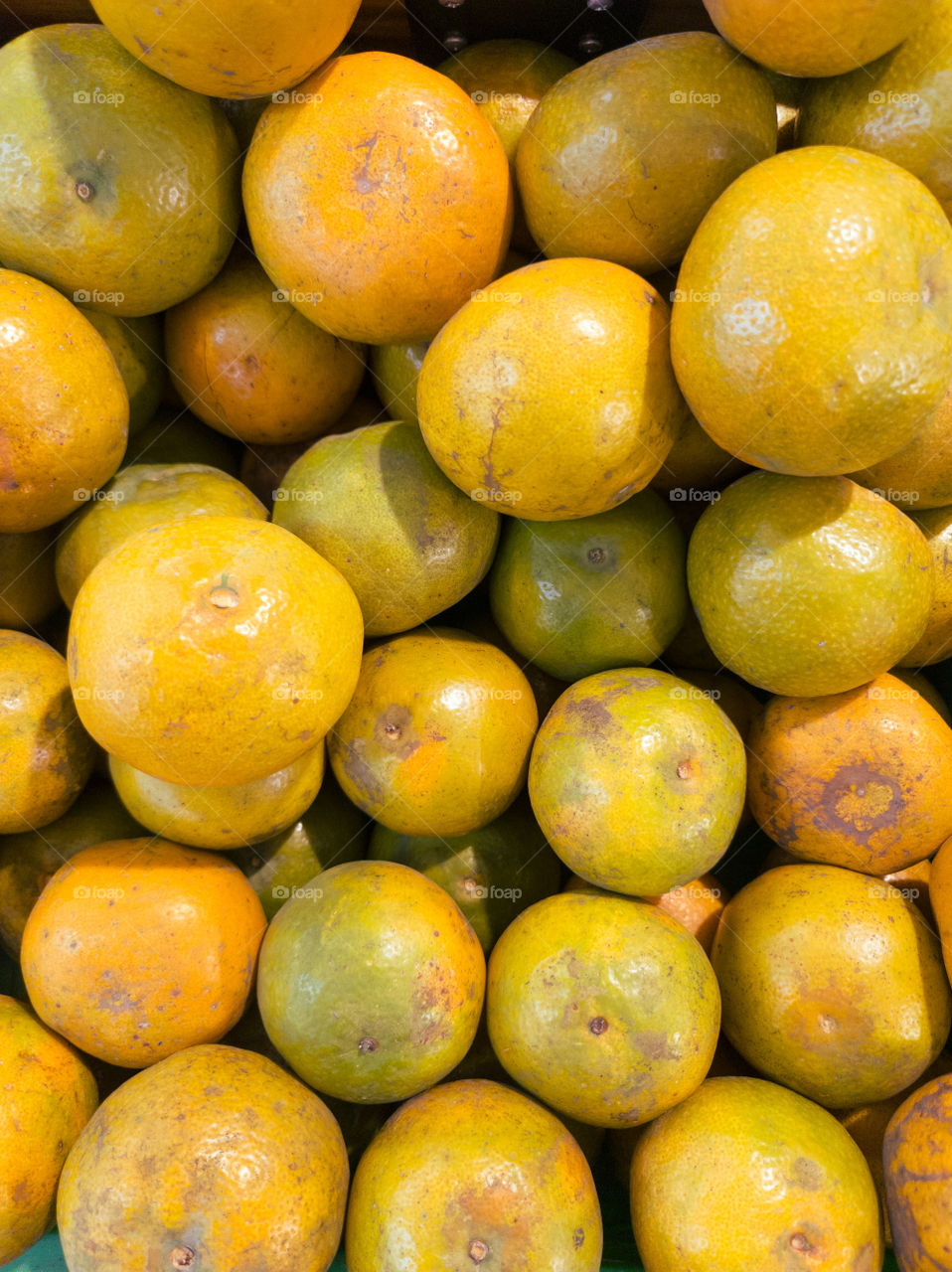 Fresh citrus fruit on the supermarket shelf
