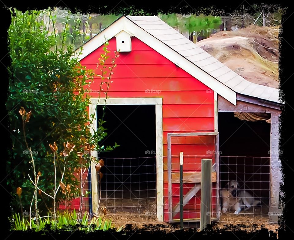Humble Goats' Abode