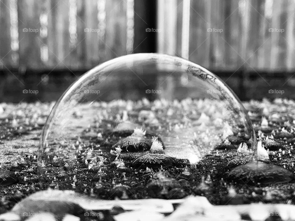 A winter wonderland. Ice crystals on top of a waste bin, on a chilly December morning. A well placed soap bubble on top, for a beautiful effect. 