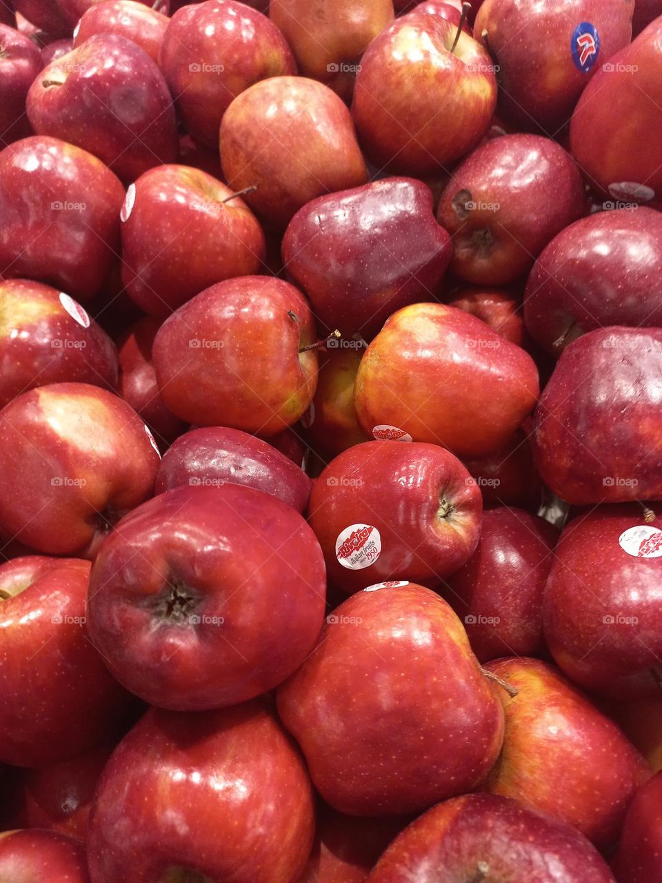 Maçãs. Frutas belas e deliciosas. para aproveitar melhor os benefícios  que a maçã apresenta é importante  consumi-la com a casca.