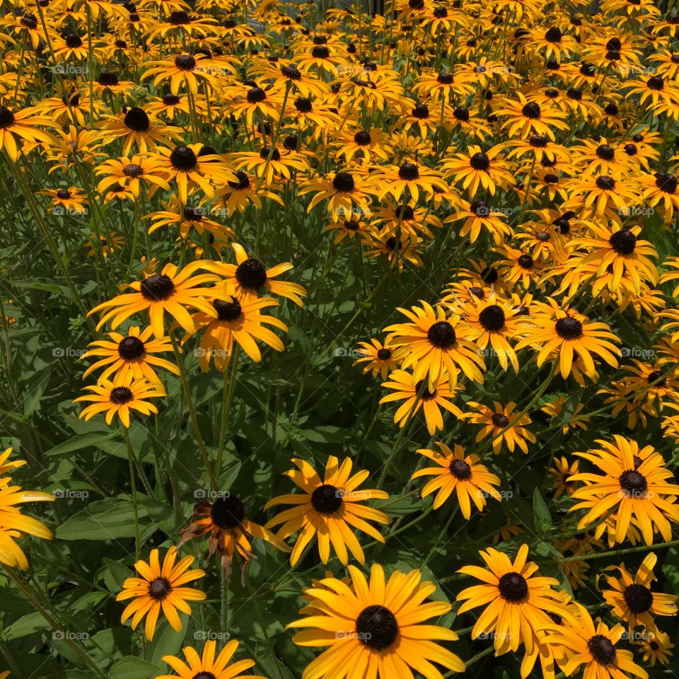 Taken with beautiful inspirations!