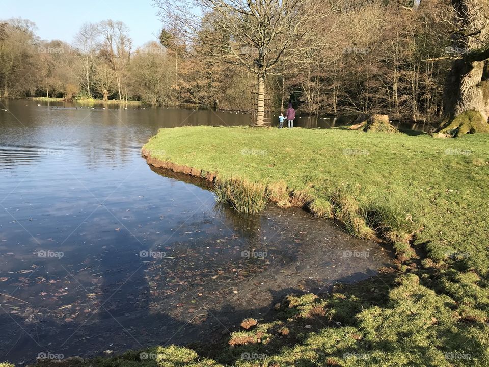 Bickham House gardens in Devon, in glorious blue winter sunshine.