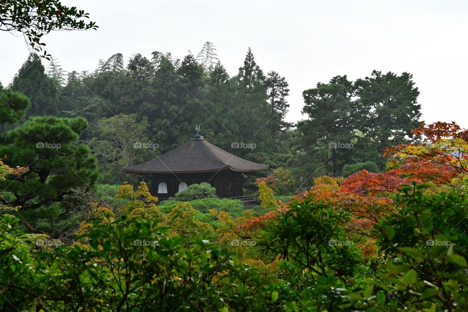 Scenic view of the Japanese garden