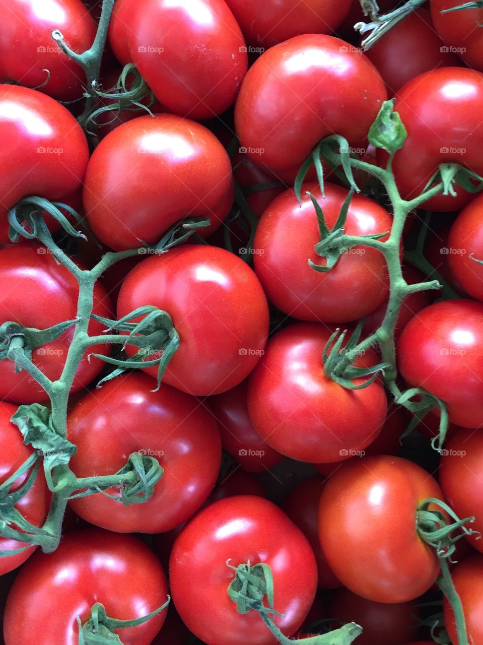 Red tomatoes 