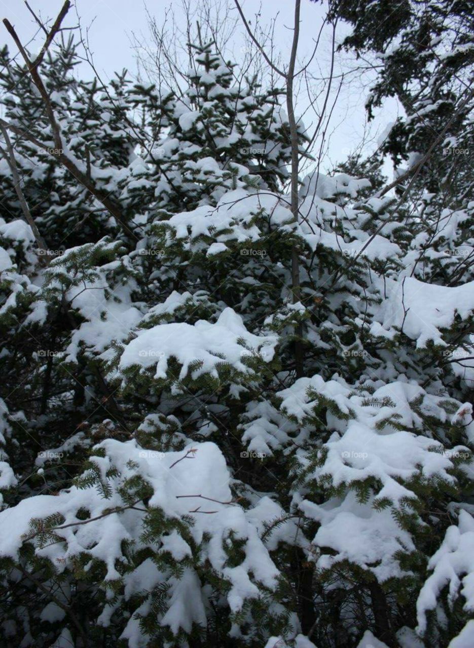 Looking up from the bottom.