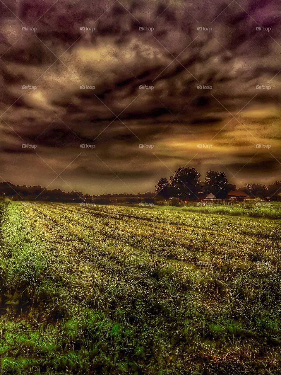 A storm at dusk. A deadly storm over the countryside at dusk. 