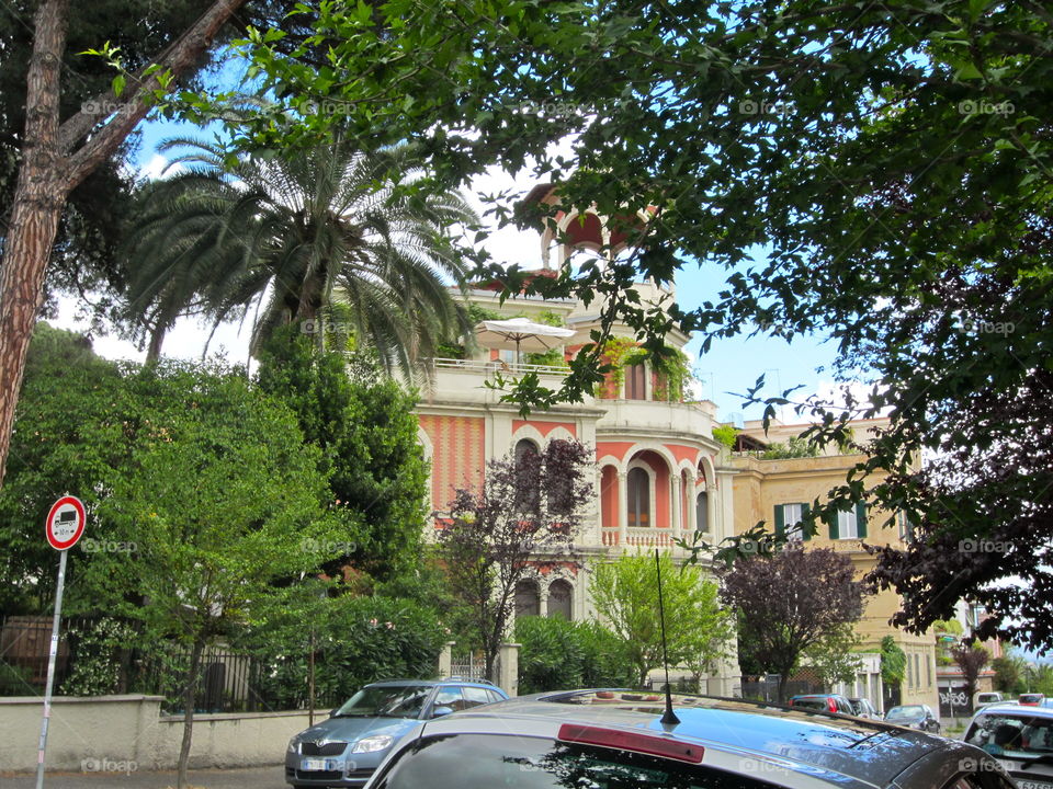 Tree, Car, Street, Travel, Road