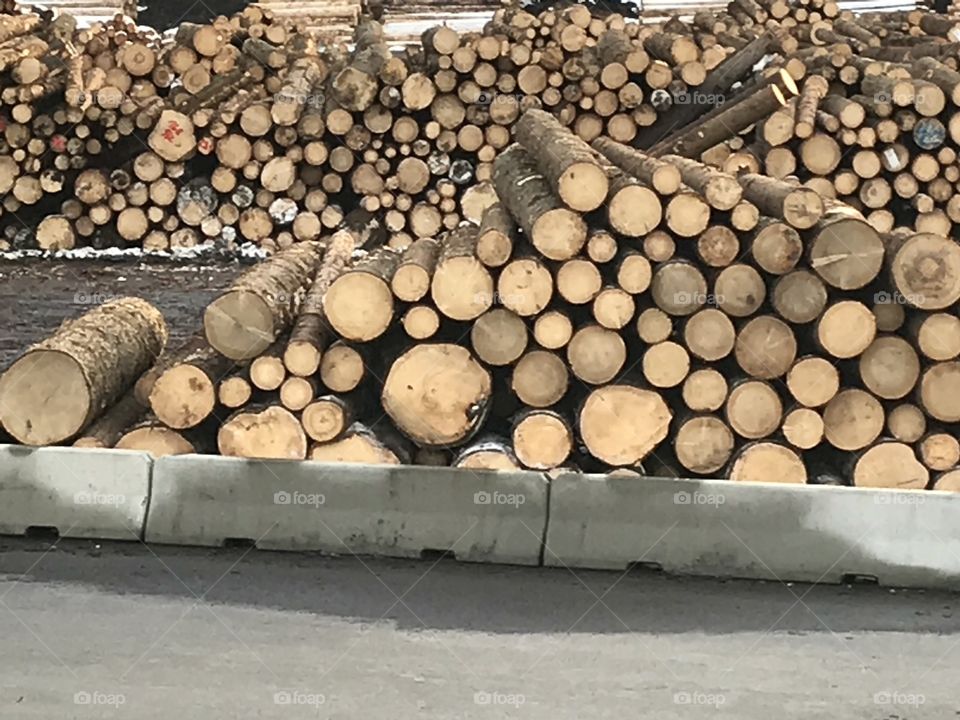 Wood