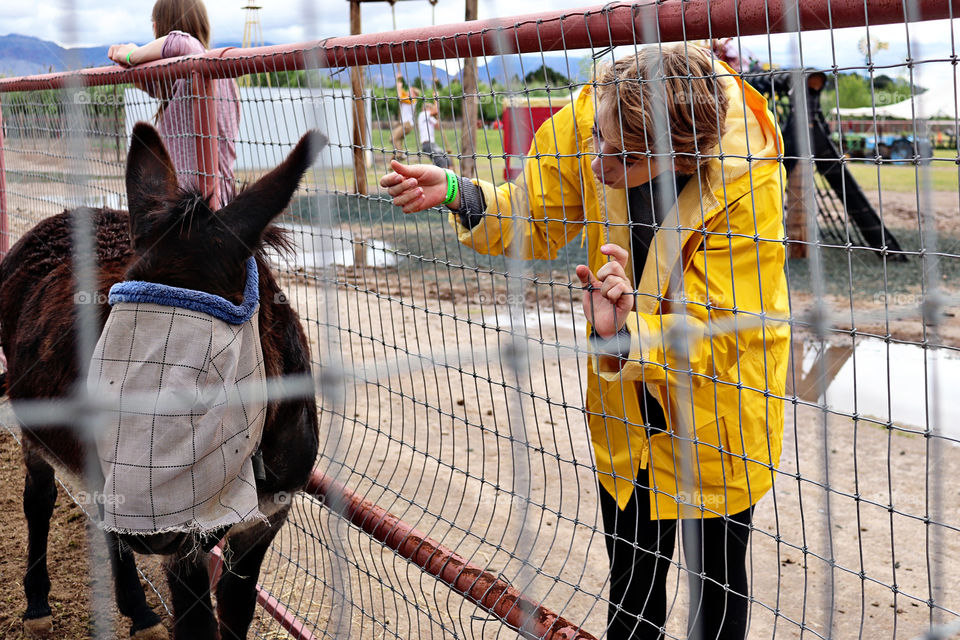 Petting Zoo