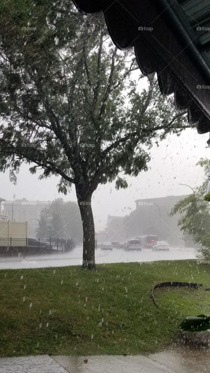 City Traffic On A Rainy Day