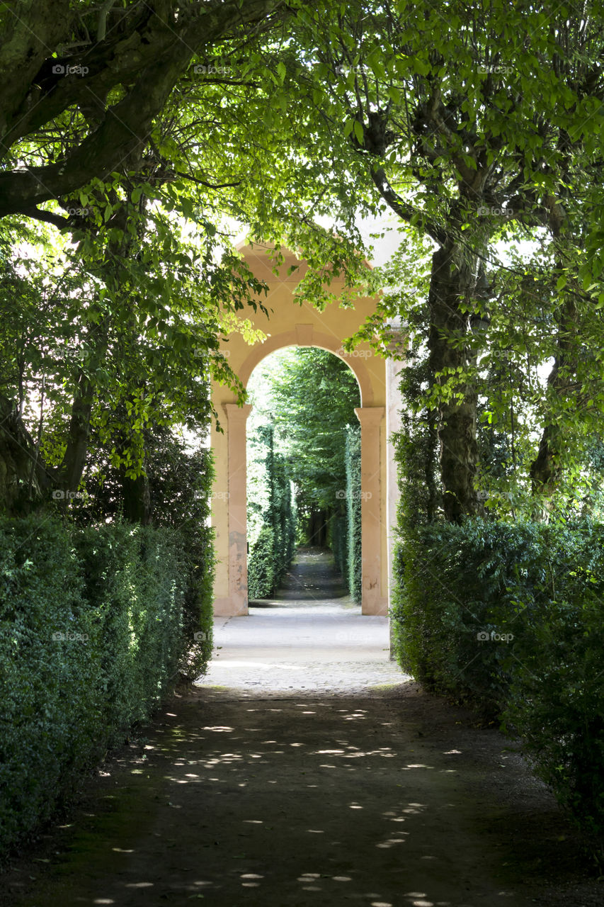 View of a path in garden