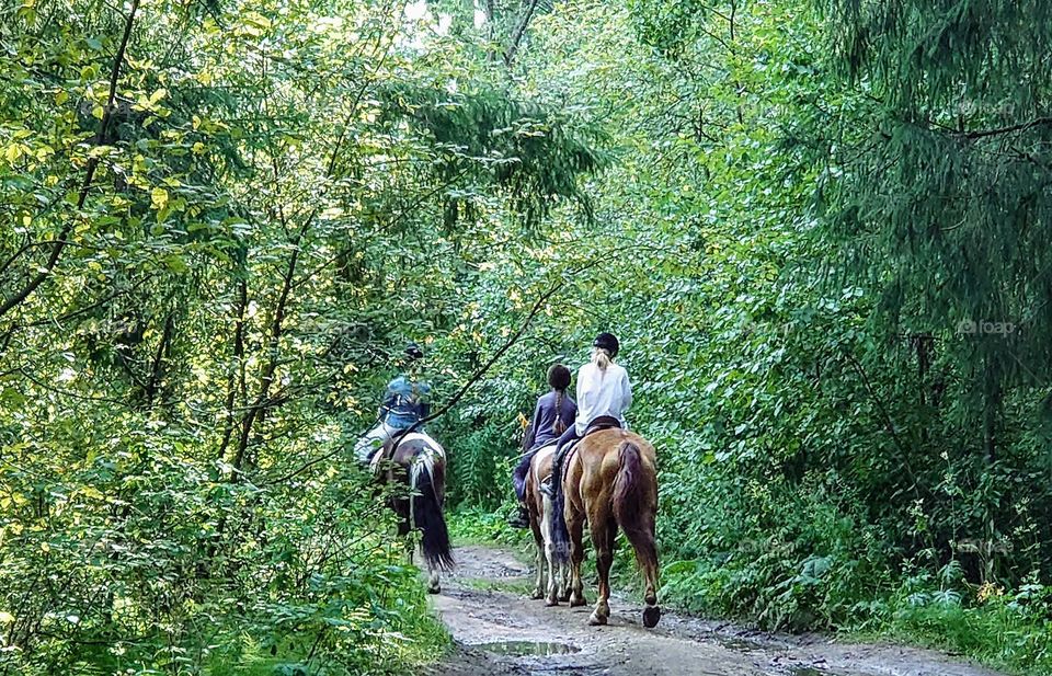 Forest ride on horseback🌳🏇🌲 Landscape 🌲🏇🌳 Outside 🌲🏇🌳