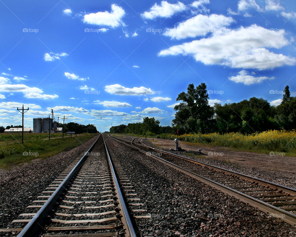 Forever Railroad 