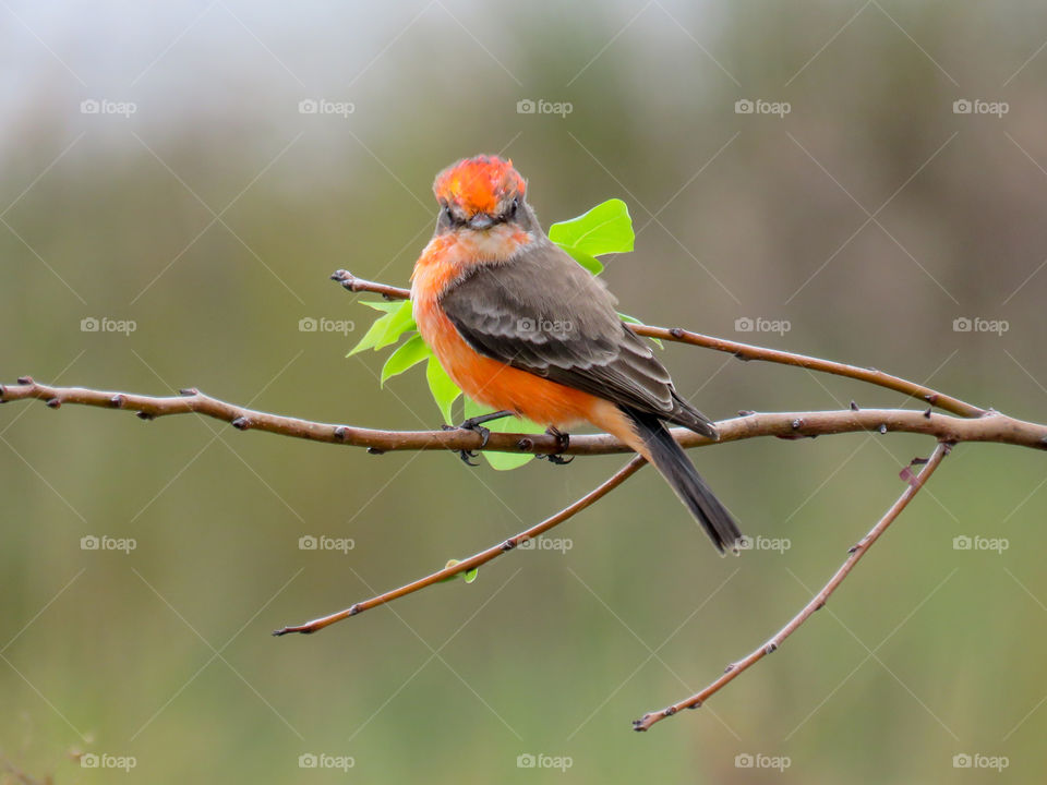 What are you looking at?