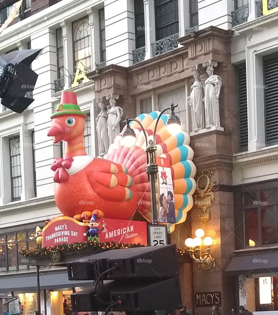 The Turkey at the Macy's Thanksgiving Day Parade