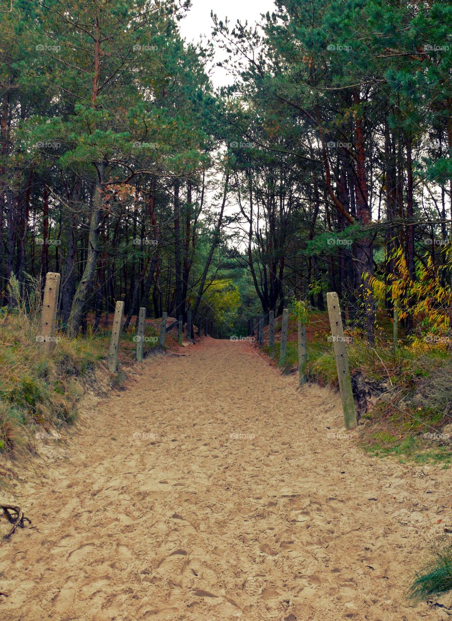 Outdoors in Międzywodzie, Poland.