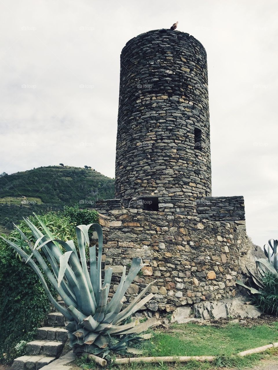 Watch Tower in Vernazza 