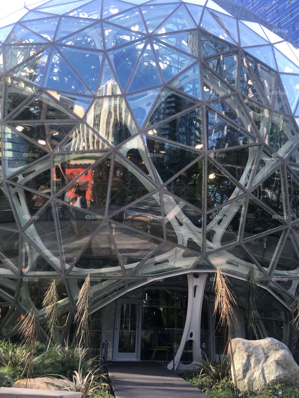 Amazon Seattle