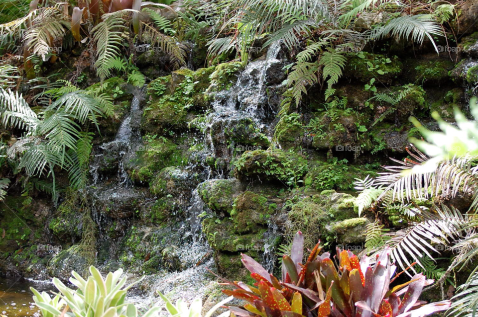 waterfall rocks foliage florida by cwassi