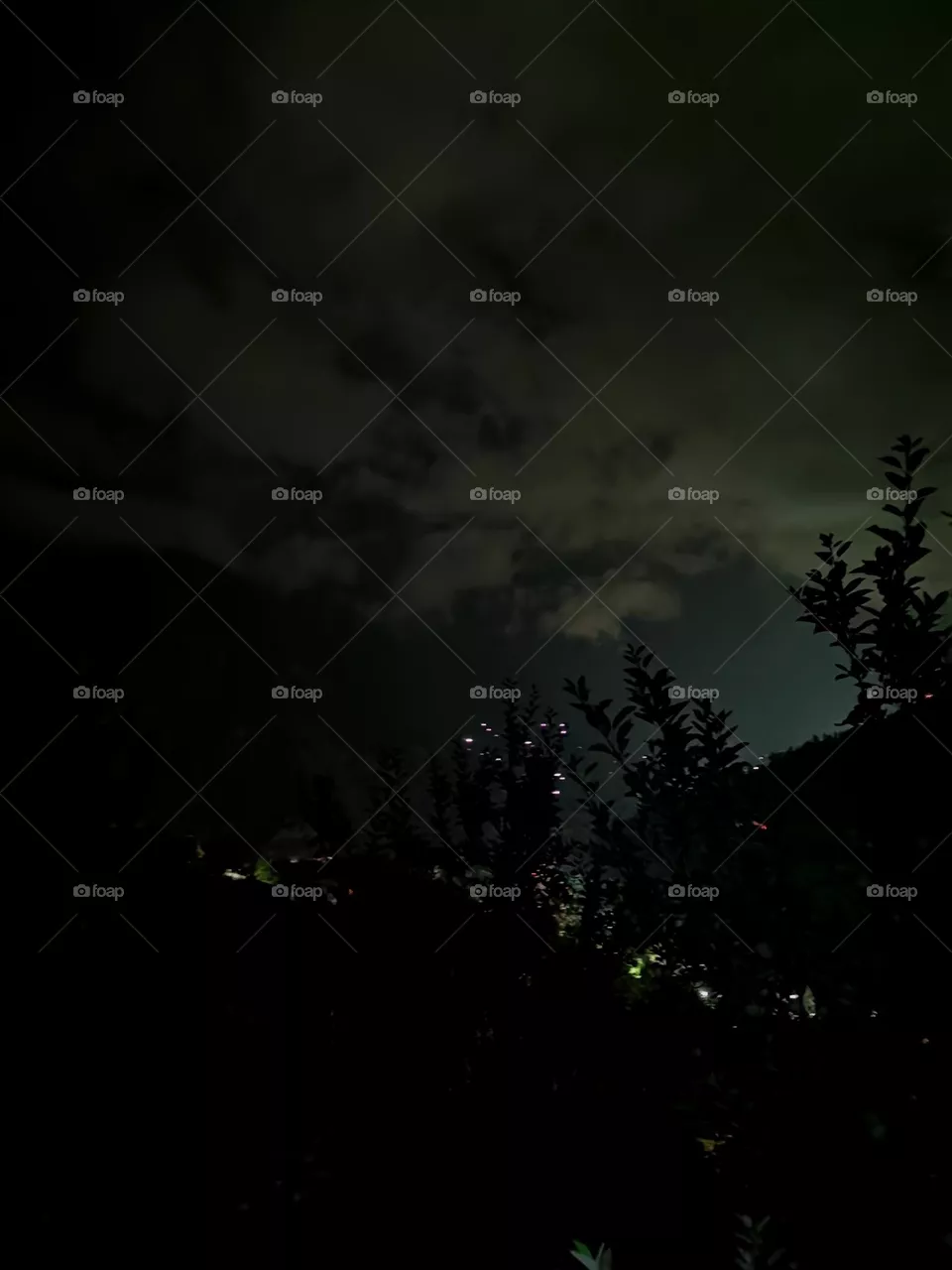 A night in field