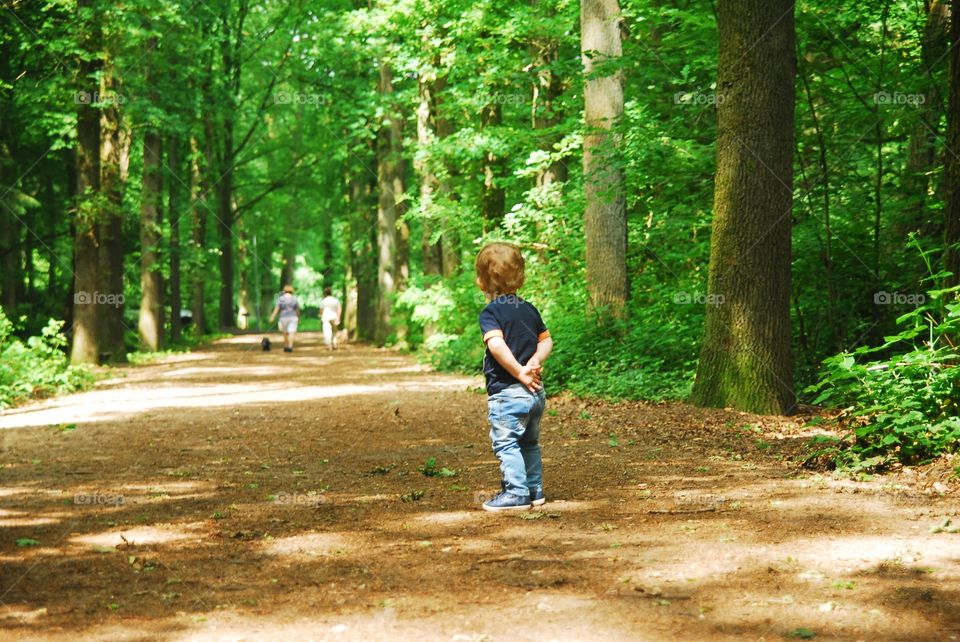 Little boy walking in the forest.