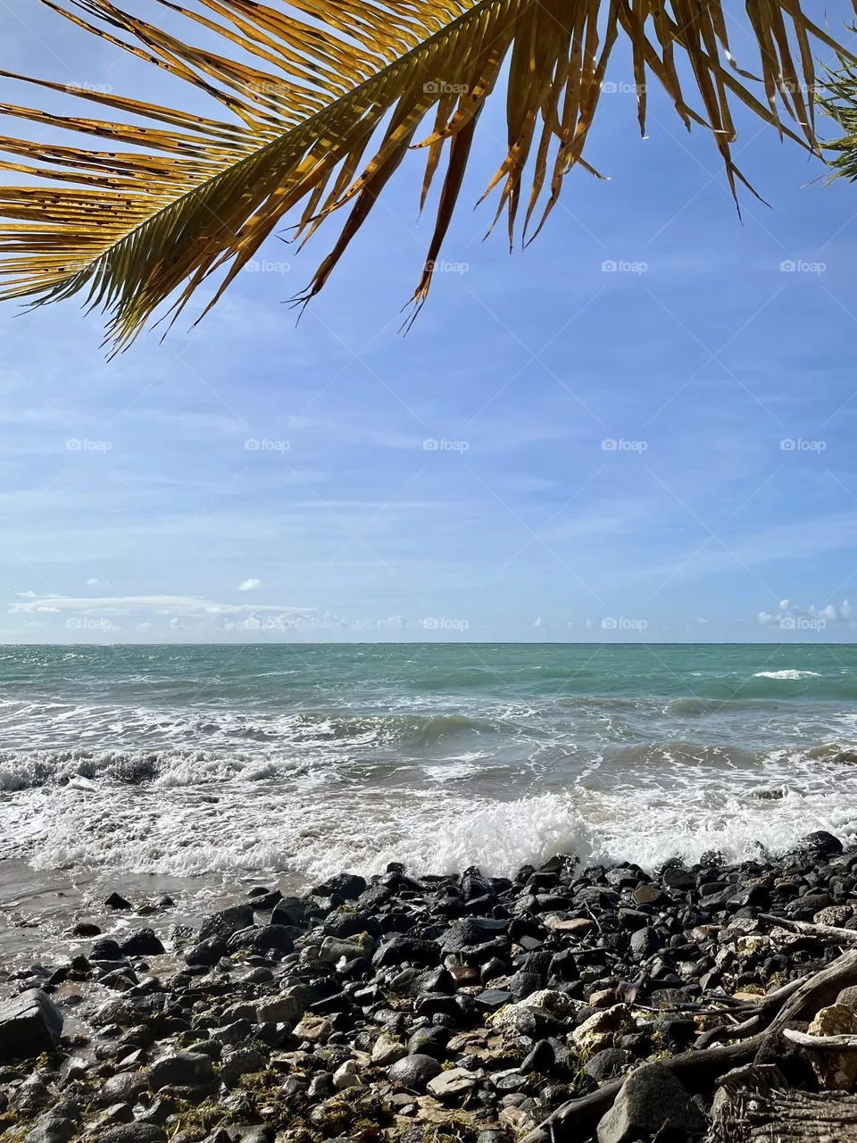Wild Caribbean landscape 